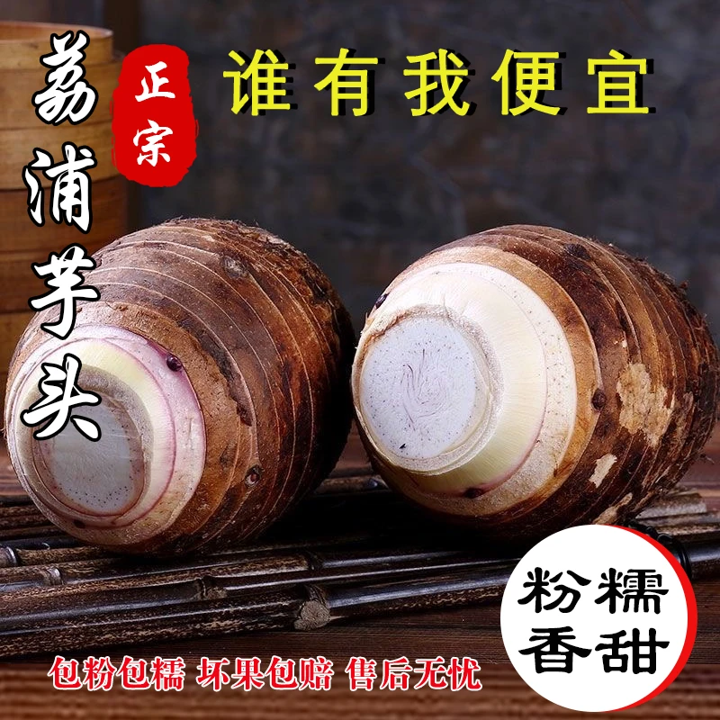 【产地直发】新鲜现采现发正宗荔浦香芋新鲜现挖软糯香甜特产香芋