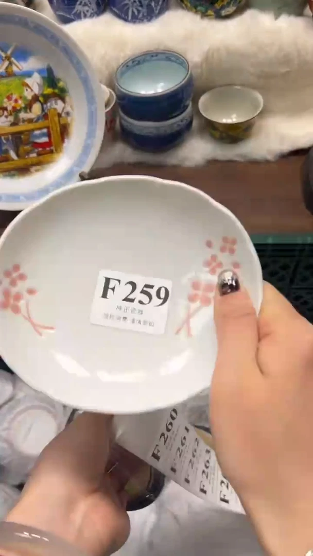 【闪购商品】瓷片          F259