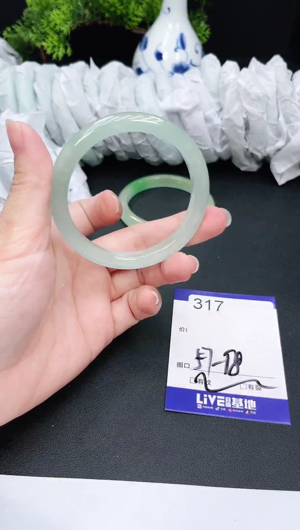 未镶嵌手镯翡翠317