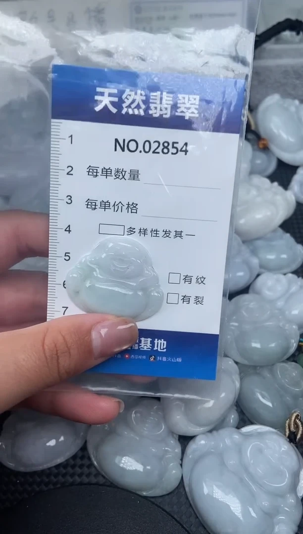 颈饰未镶嵌翡翠纯天然A货翡翠2854