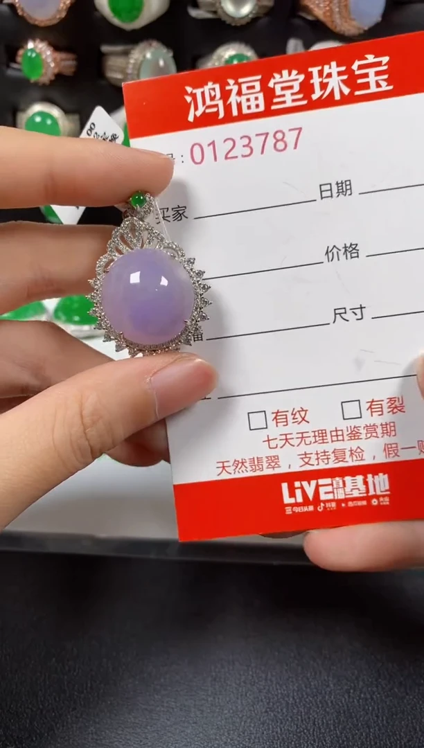 颈饰银S925镶嵌翡翠3787