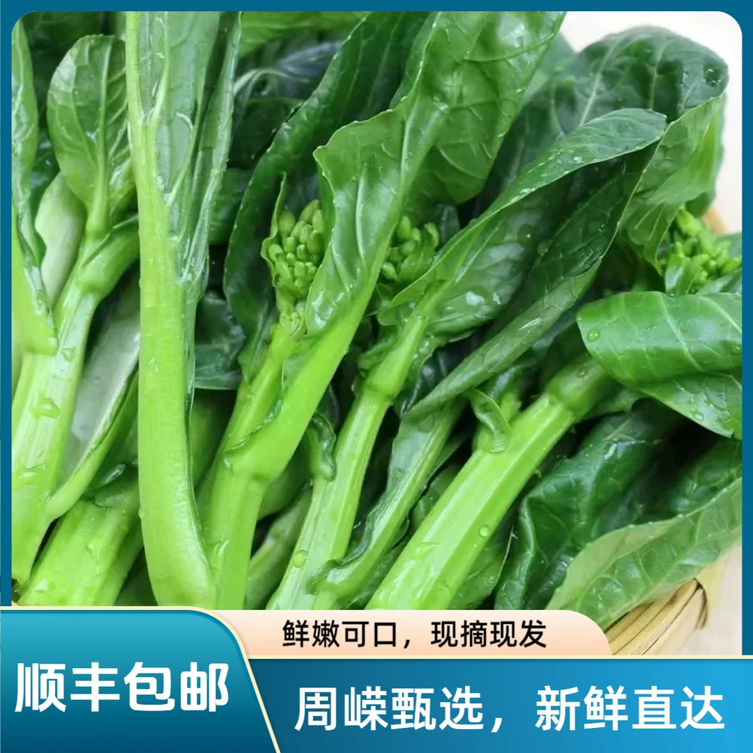 【周嵘甄选】新鲜供港菜心鲜嫩清甜现摘现发3斤装 顺丰