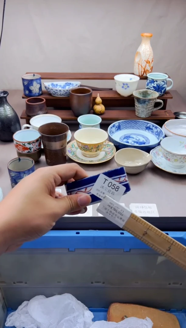 瓷片          T058