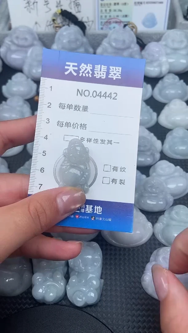 颈饰未镶嵌翡翠纯天然A货翡翠4442