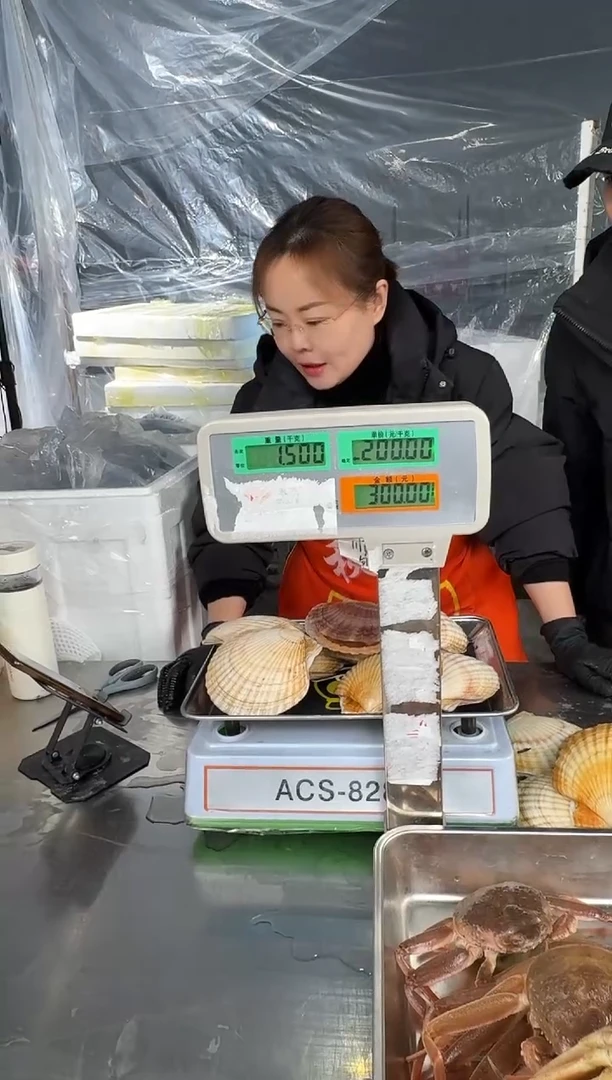 人****碎冰鲜大扇贝1.5公斤