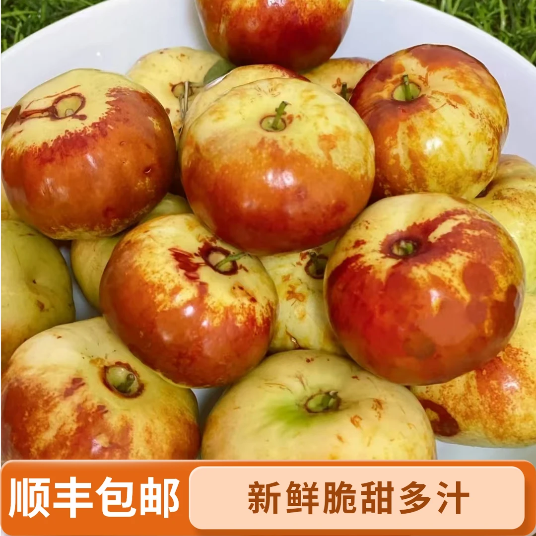 【甄选品质】现摘新鲜蟠枣新鲜脆甜大果蟠桃枣青红冬枣当季孕妇水果