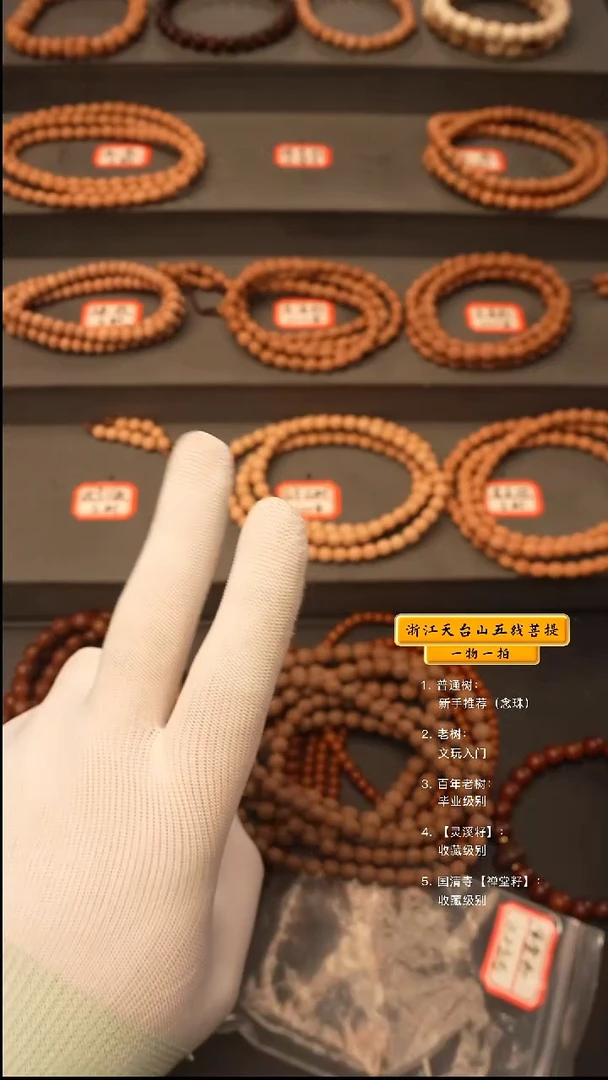 吊坠五线菩提禅*脖挂