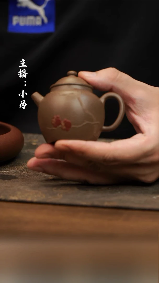 茶壶紫砂如如大水潭紫泥