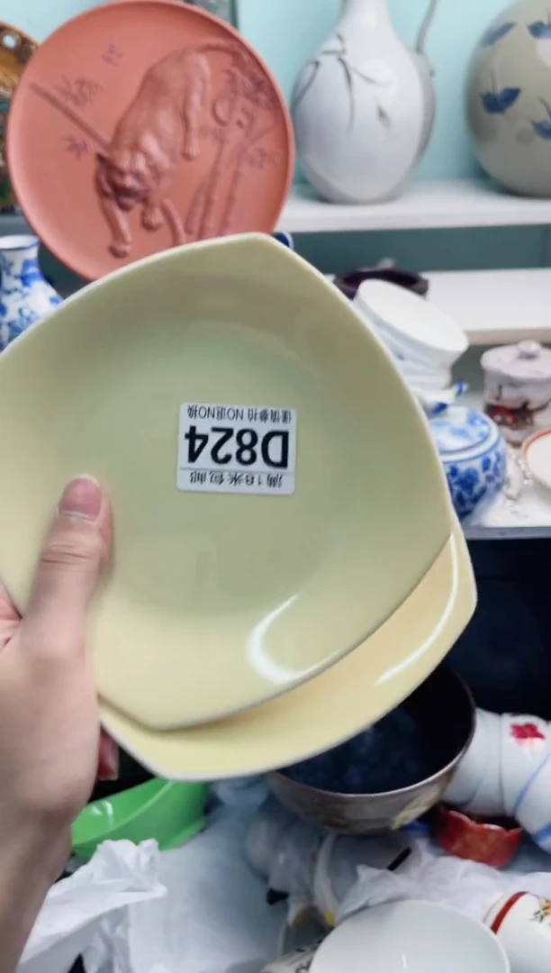 陶瓷星*D824*****