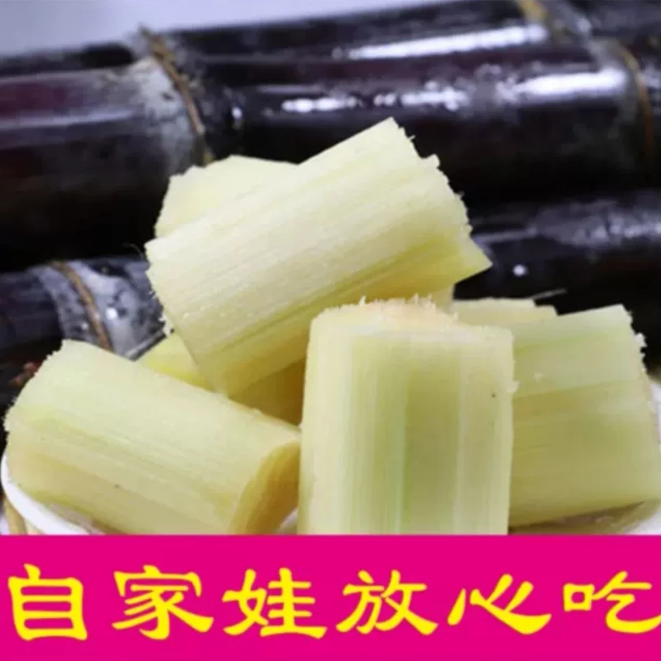 广西黑皮甘蔗新鲜现砍现发 水果甘蔗中段脆甜多汁 配削皮大刀