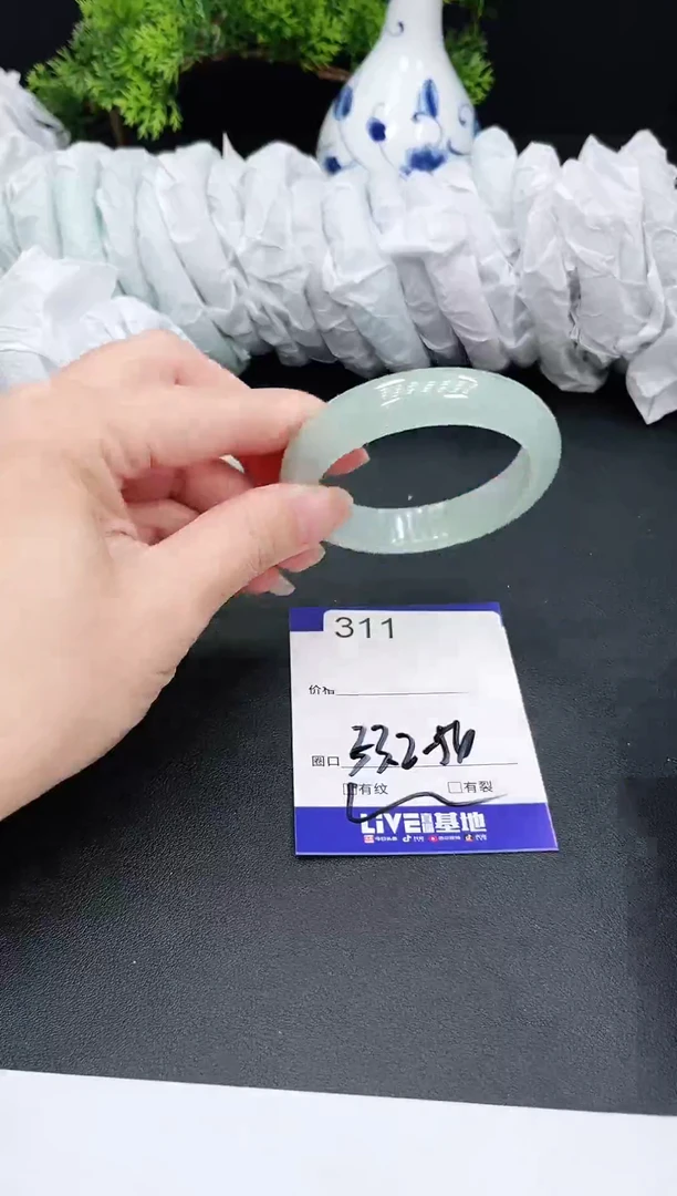 未镶嵌手镯翡翠311