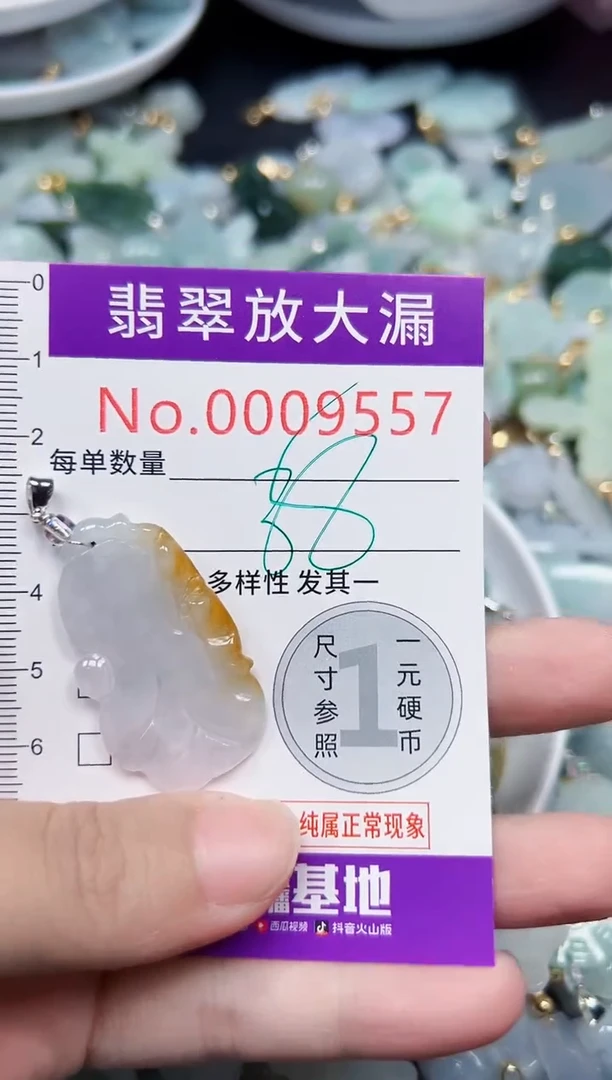 颈饰未镶嵌翡翠9557