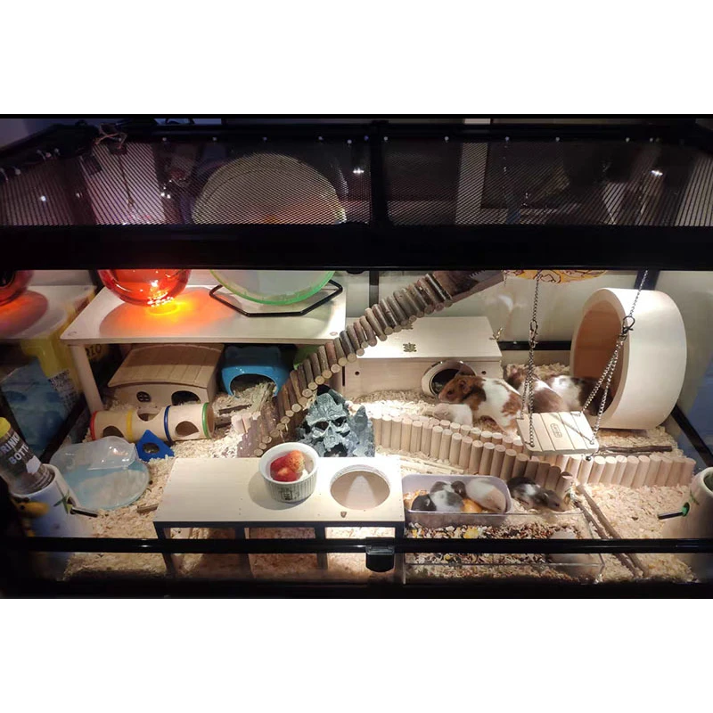 陆龟套餐 呆呆农夫专用