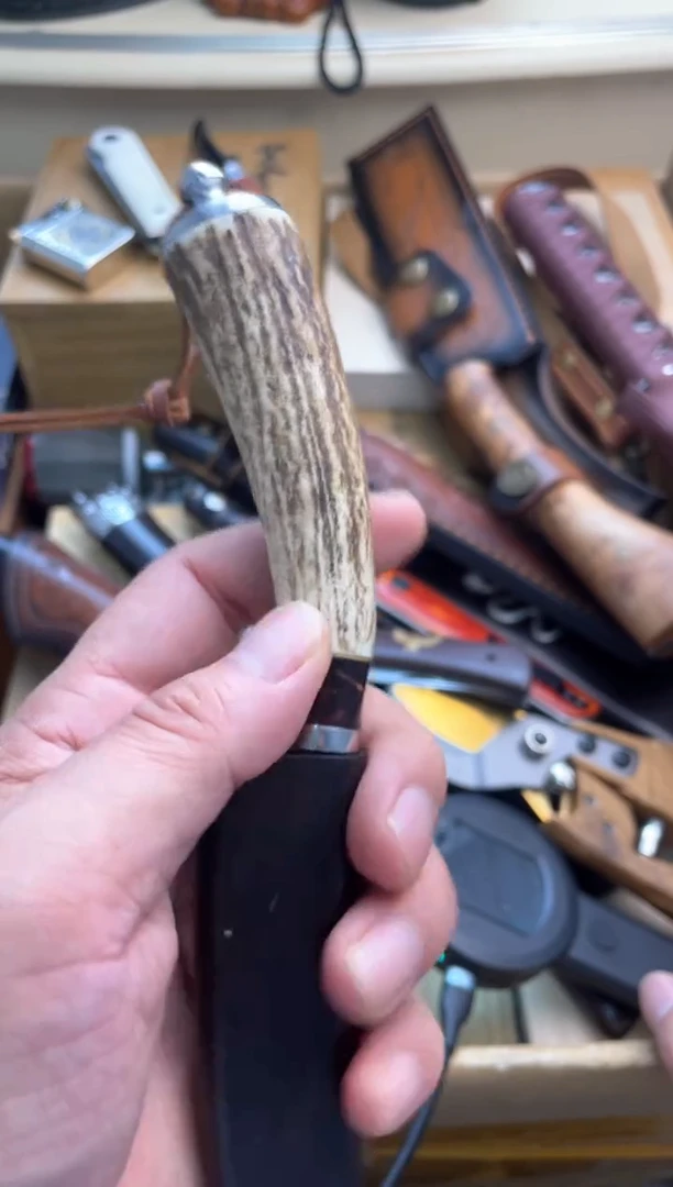 瓷片lu郑正杂货品质保证