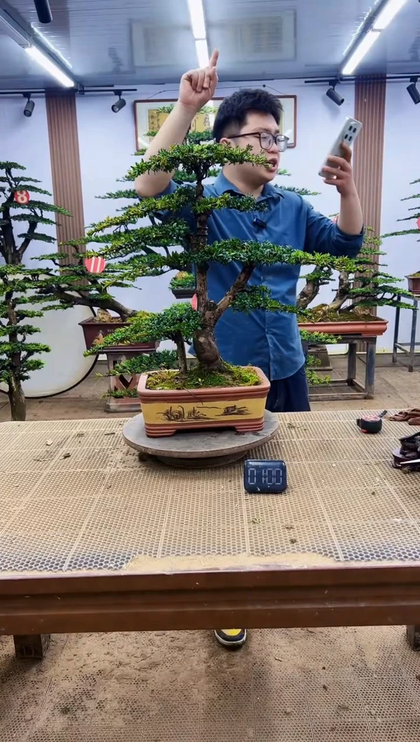 一物一拍，所见即所得