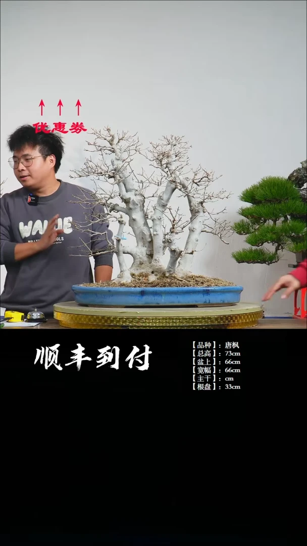 【闪购商品】1z070唐枫bubaoou