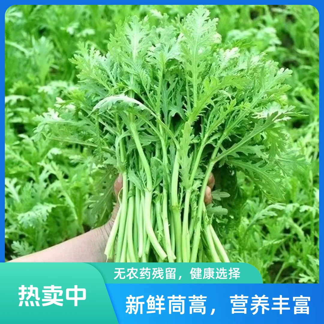 【现摘现发】新鲜（茼蒿菜）包邮