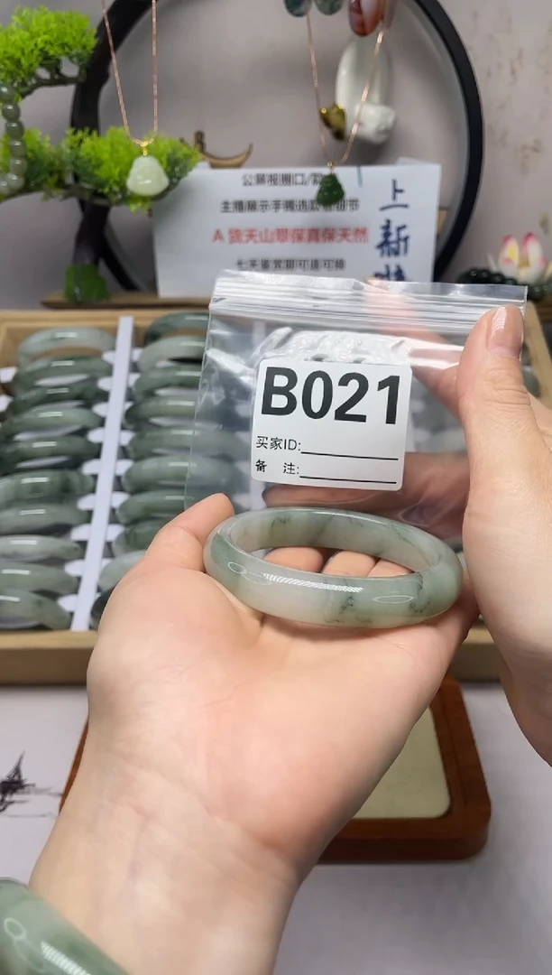 【闪购商品】石英质玉（天山翠）手镯未镶嵌b021