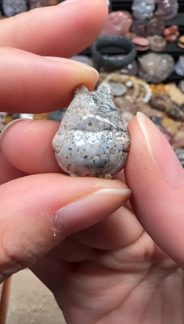 颈饰未镶嵌硅化珊瑚（珊瑚玉）045