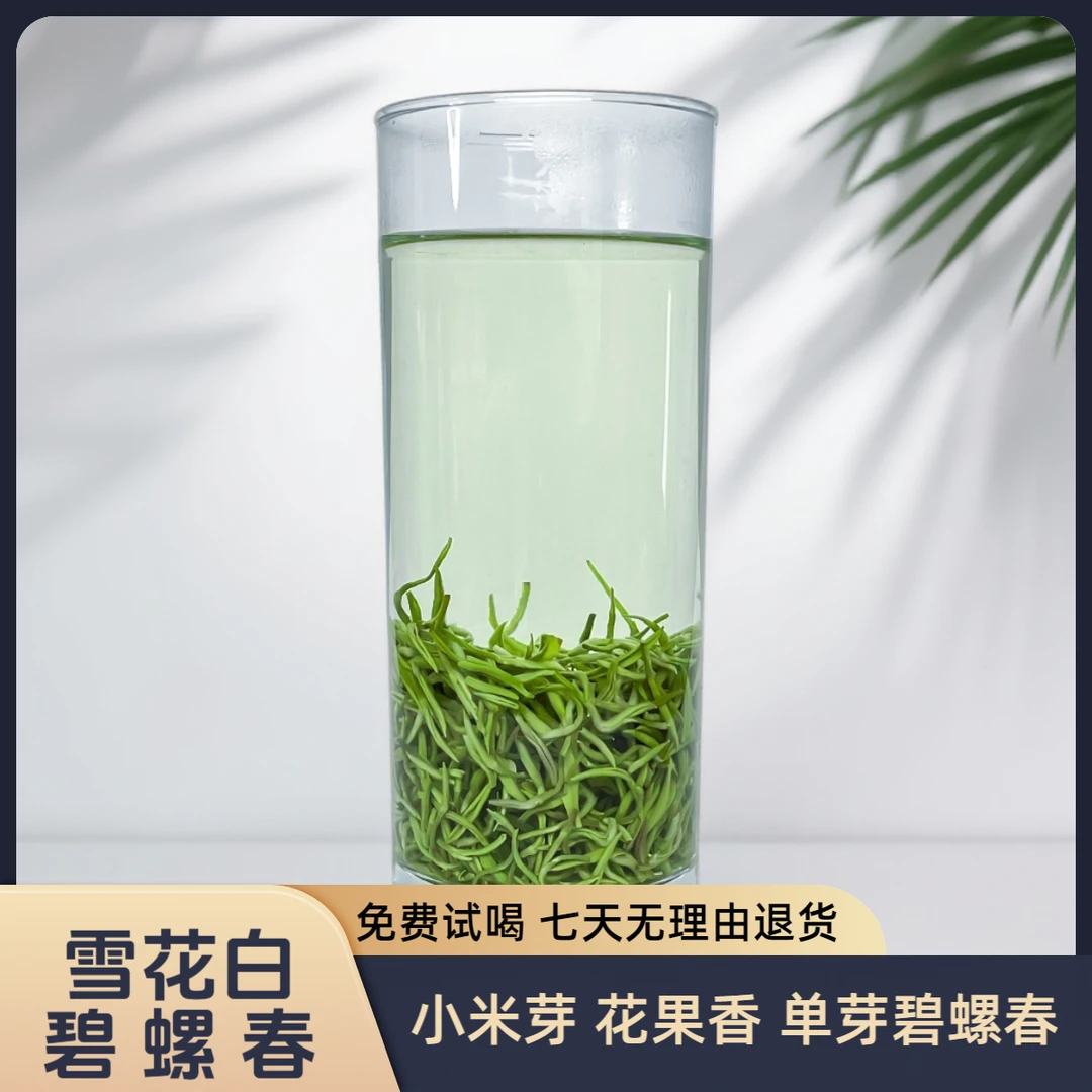 2025年【雪花白】早春单芽碧螺春鲜嫩小嫩芽浓香花果香栗香醇厚罐装