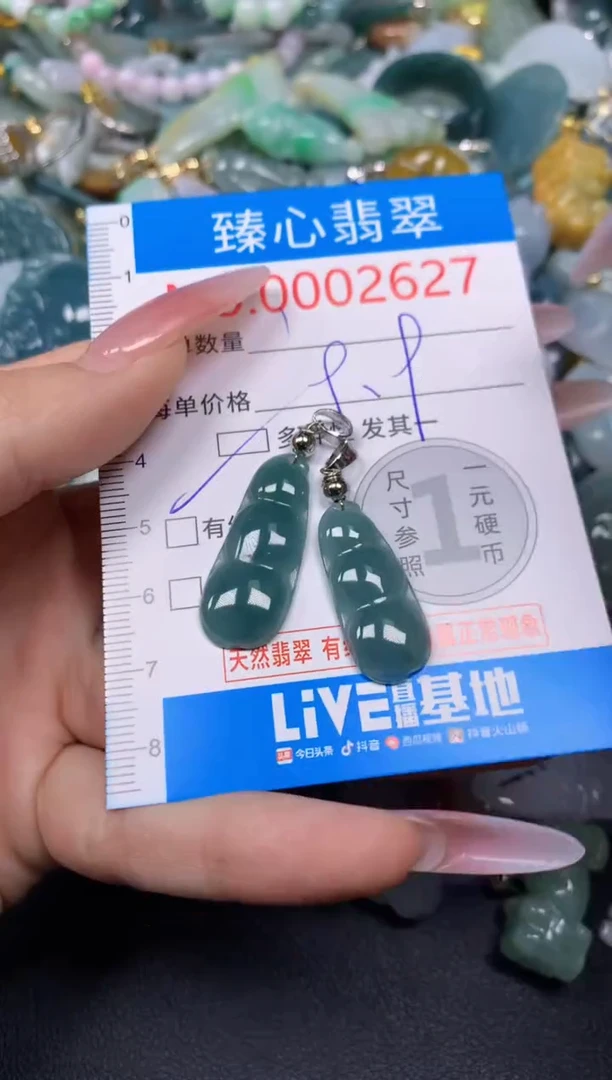 【闪购商品】翡翠颈饰未镶嵌含绳0002627