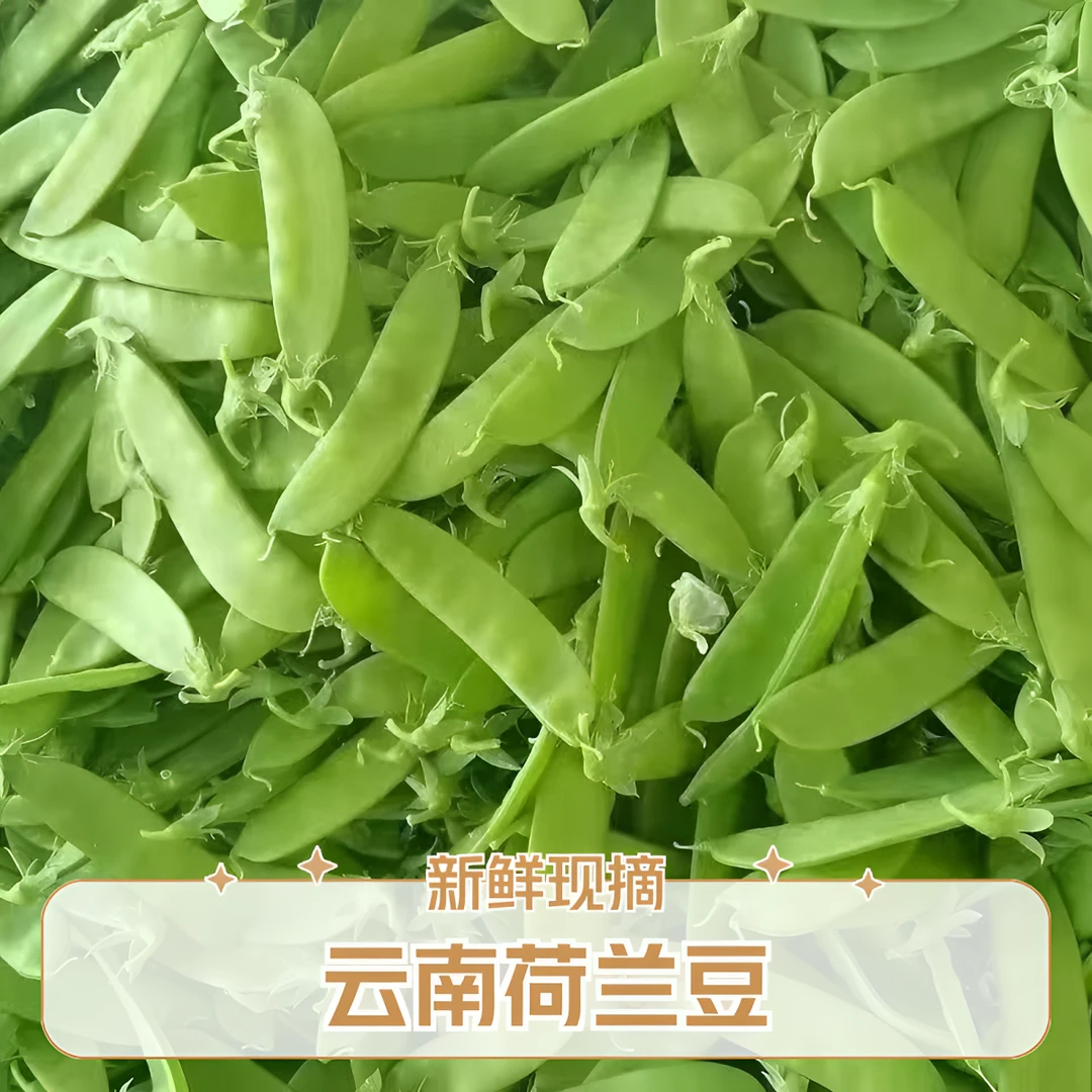 【现摘现发】云南高山荷兰豆白花豆新鲜豆当季蔬菜农家蔬菜现摘现发