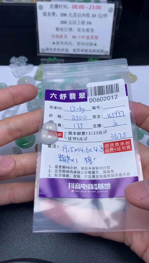 翡翠未镶嵌吊坠(不含链)D0602012