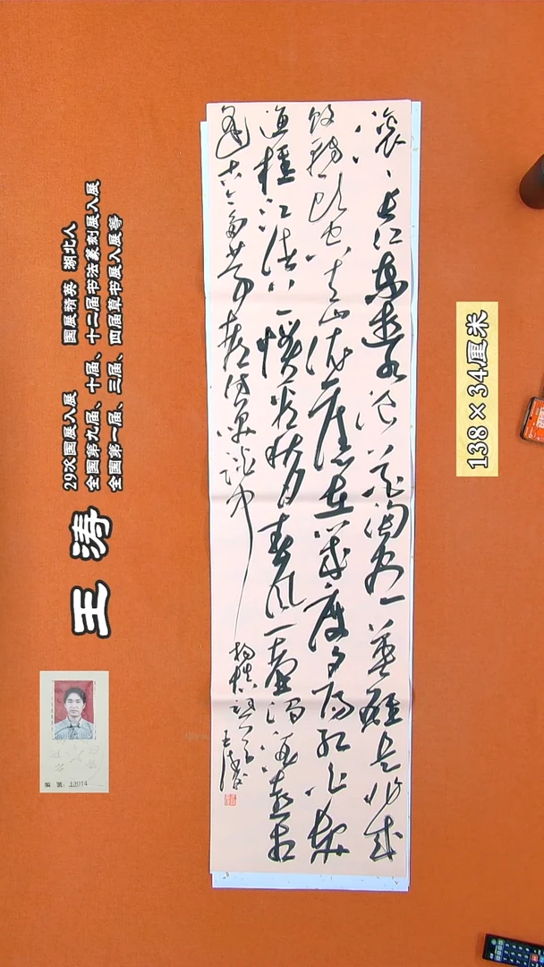书法217R王涛书法 作品