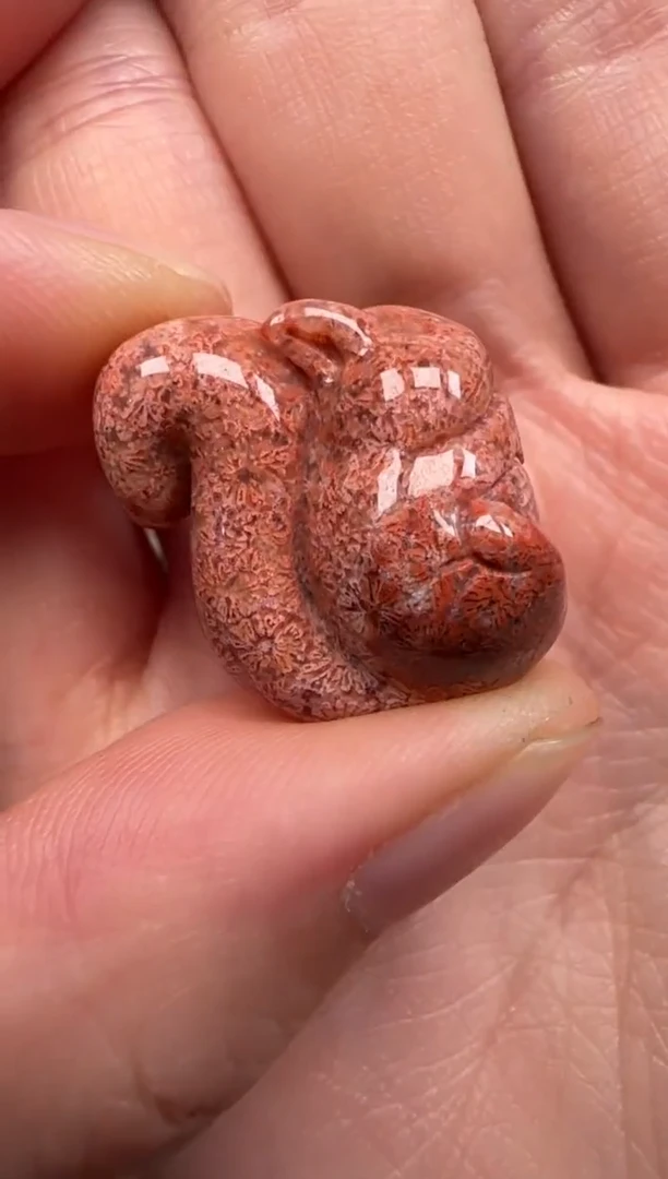 硅化珊瑚（珊瑚玉）未镶嵌颈饰795