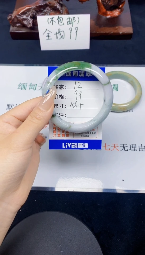 未镶嵌手镯翡翠12