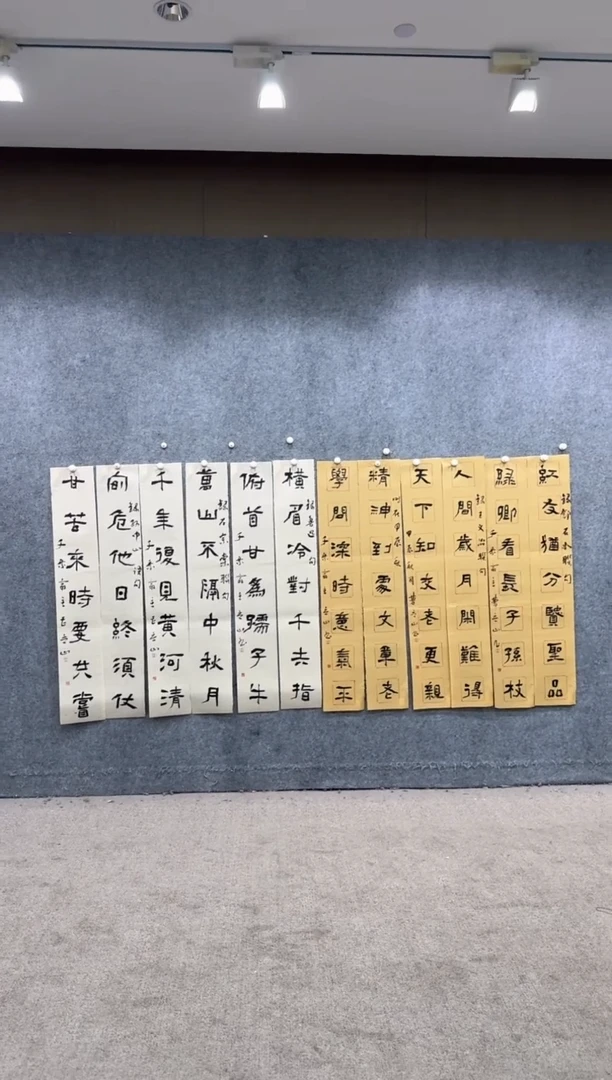 【闪购商品】书法pmw不二轩旗舰店书法CLS5