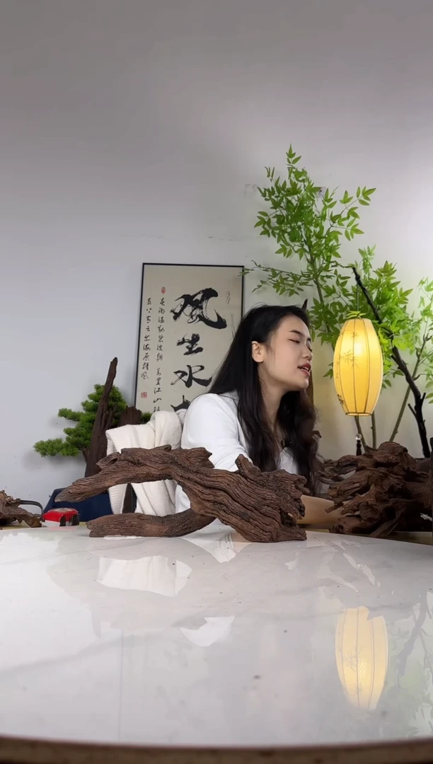 望*拍这个定向编号17