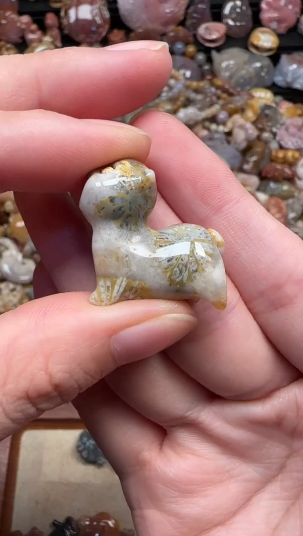 颈饰未镶嵌硅化珊瑚（珊瑚玉）525