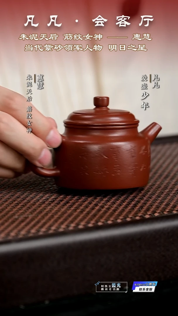 茶壶紫砂PT惠慧27 德钟 泥绘小鸟 孟臣朱泥170cc