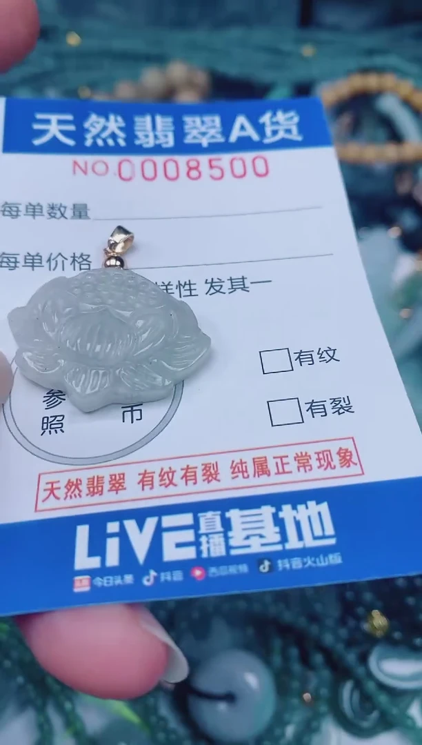 颈饰未镶嵌翡翠00008500