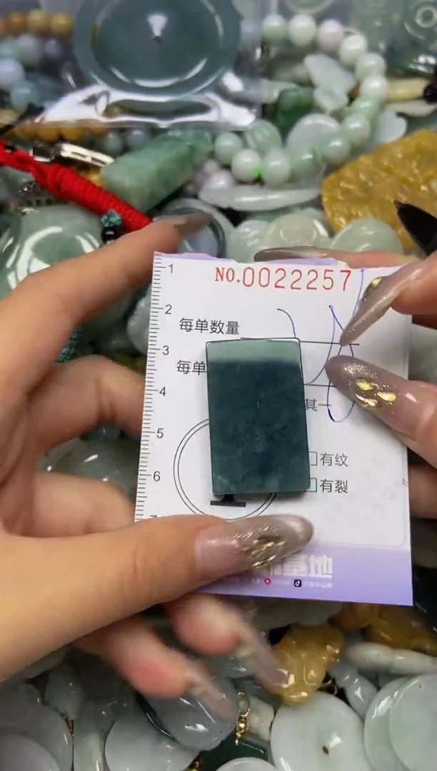 【闪购商品】翡翠颈饰未镶嵌闪购0022257