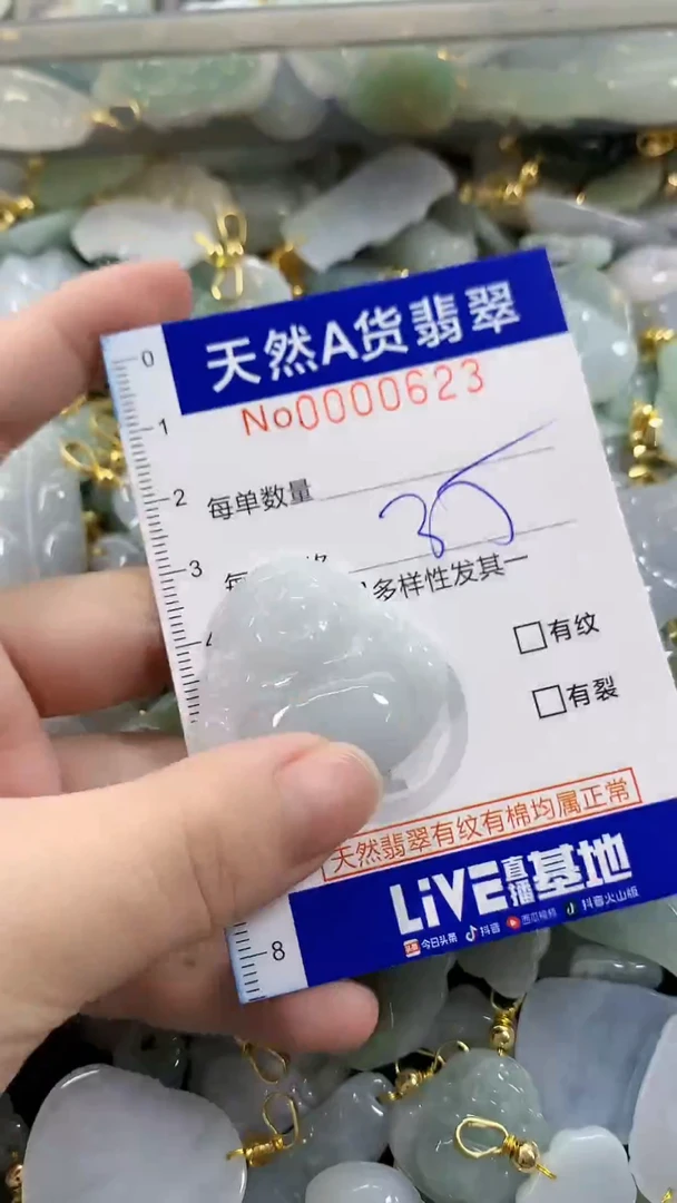 颈饰未镶嵌翡翠天然A货翡翠
