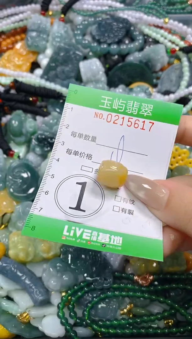 颈饰未镶嵌翡翠闪购0215617