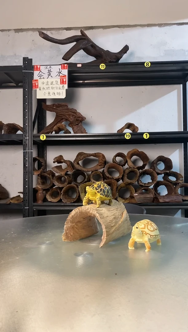 纯***哥鱼缸爬宠造景素材444