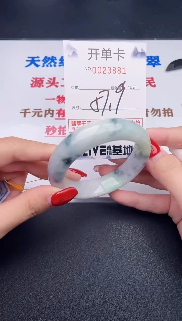 未镶嵌手镯翡翠81