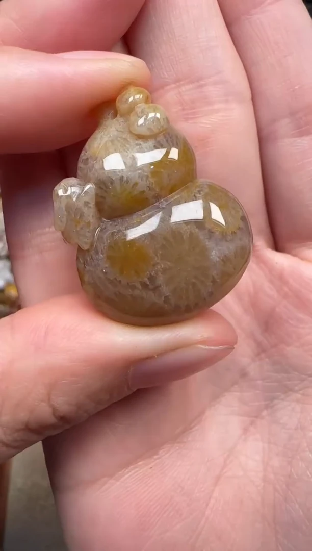颈饰未镶嵌硅化珊瑚（珊瑚玉）206