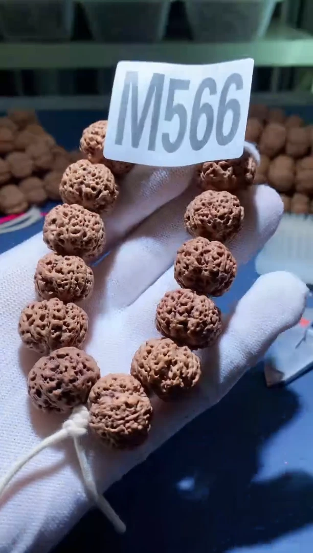 手串金刚菩提M00000566