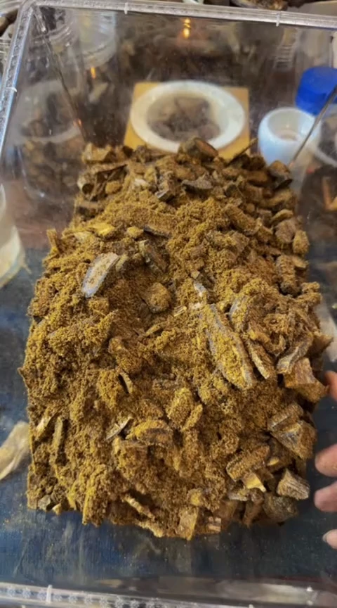 【闪购商品】沉香摆件棋楠车珠碎料1028克