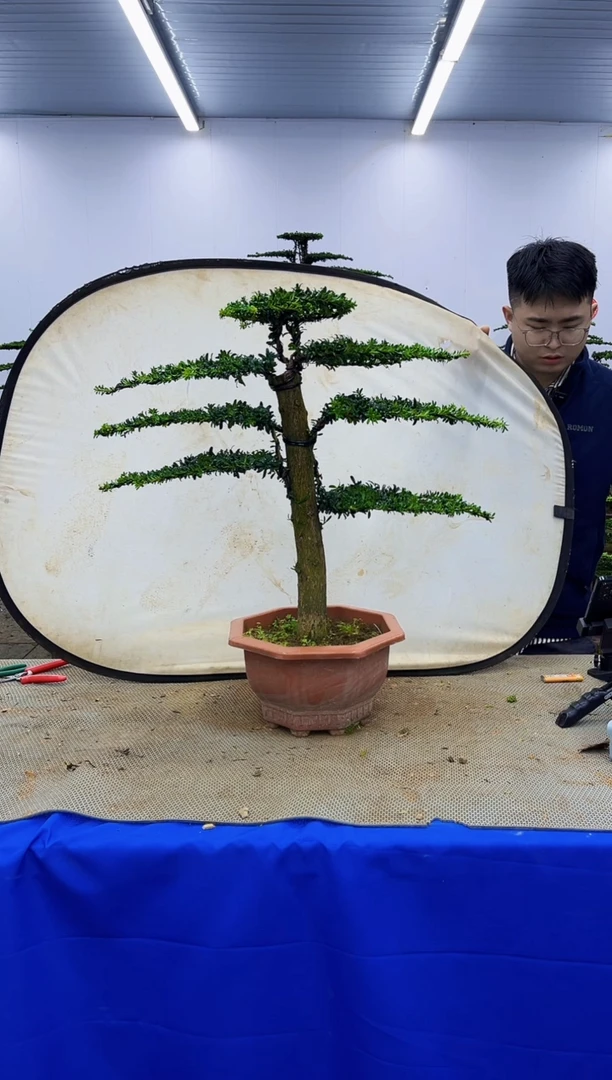 以实际为准一物一拍，所见即所得1