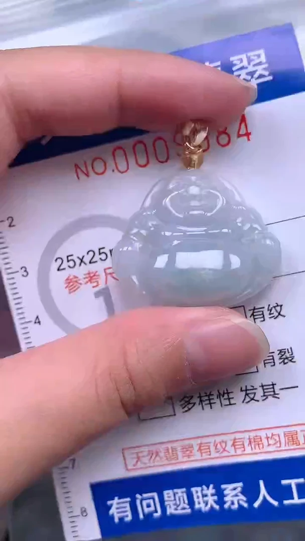 翡翠未镶嵌吊坠(不含链)1