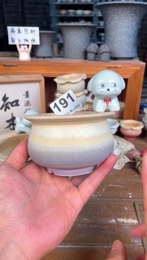 瓷片191小芳花盆直播编号