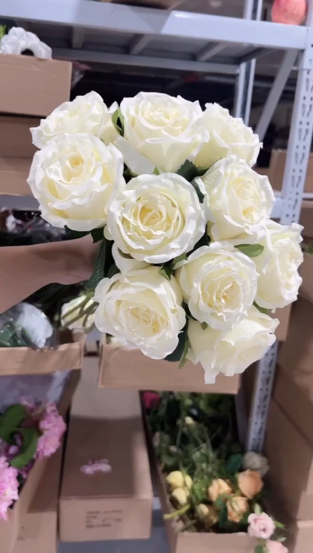 10枝白色洛神花花