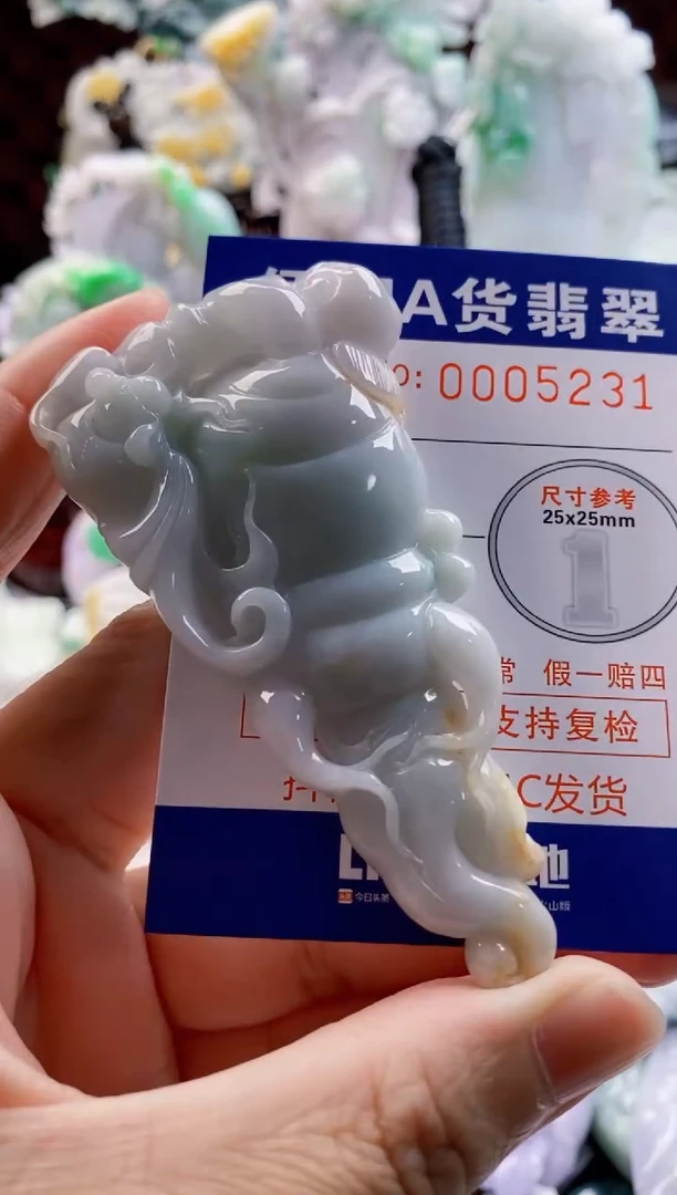 翡翠未镶嵌吊坠(不含链)1