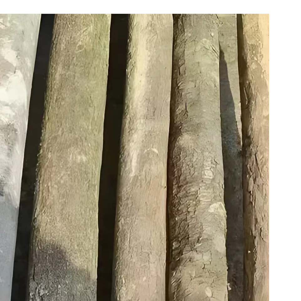 水杨梅锄头柄（毛胚）去皮