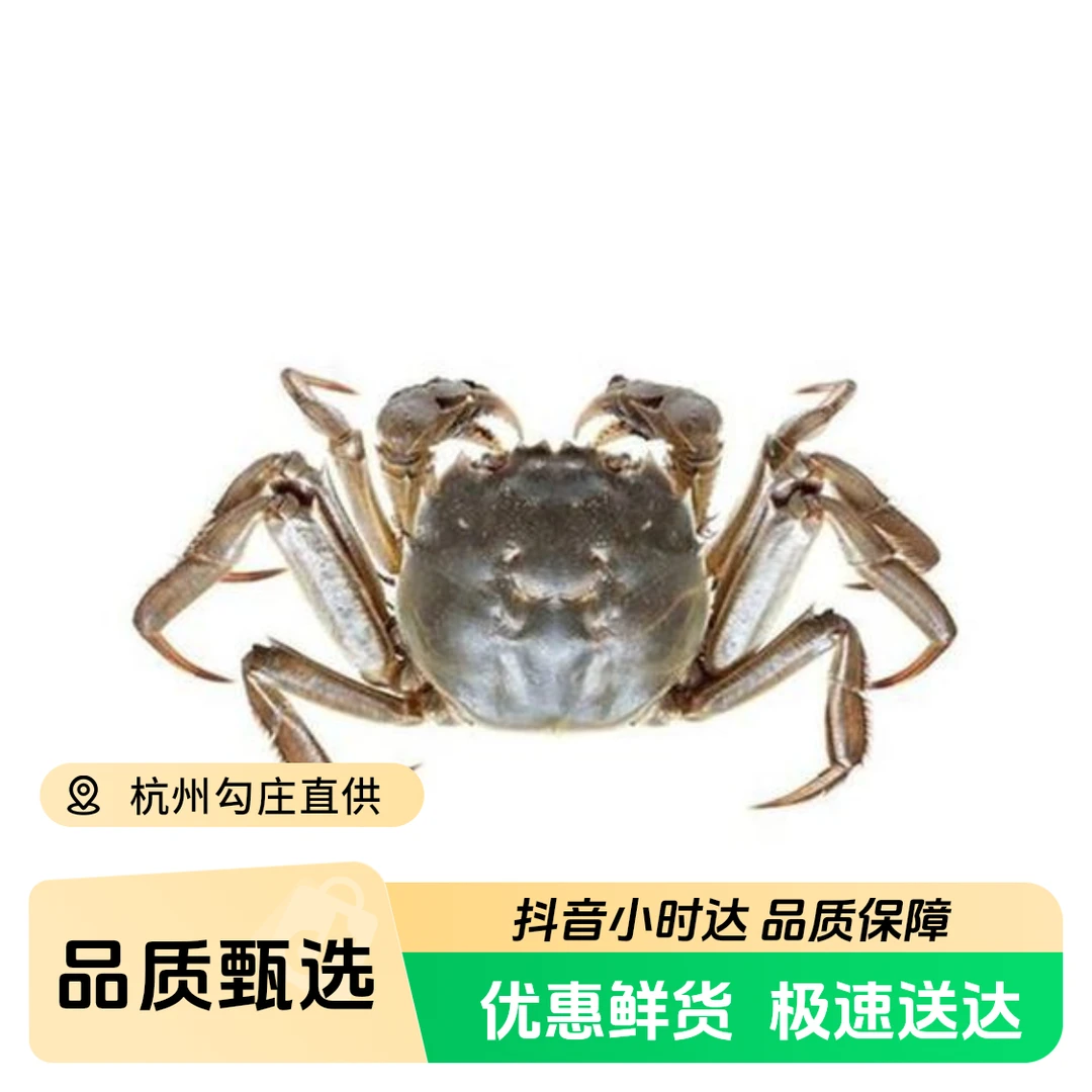 青膏蟹1斤9两蟹同城配送海鲜